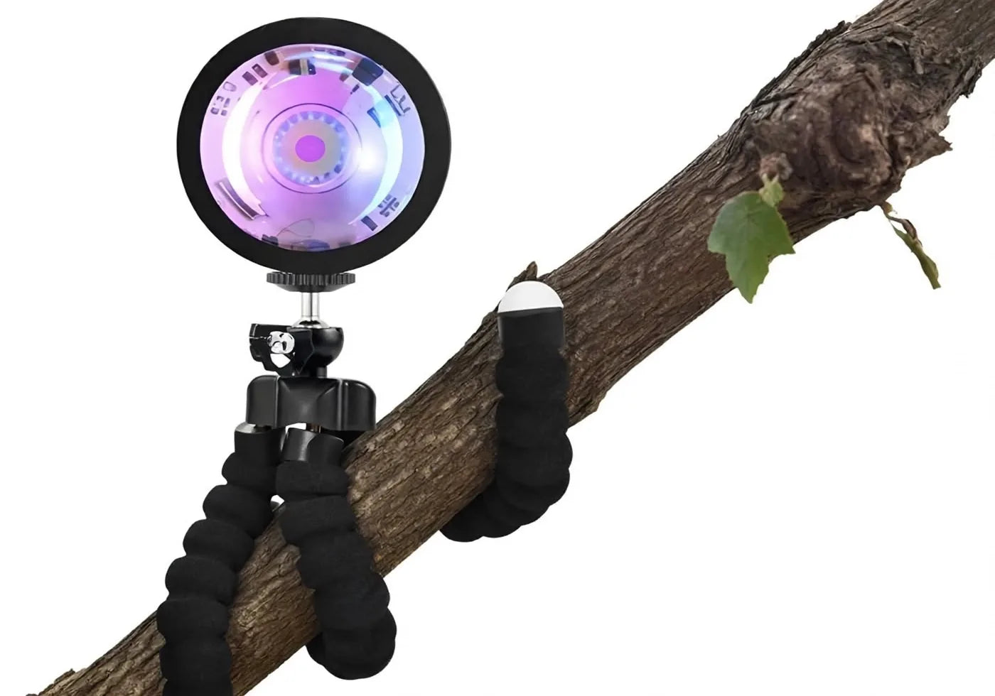 Lampada con il treppiede avvolto a un ramo
